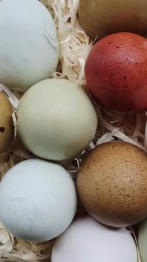 Taze renkte tavuk yumurtaları yumurta sarısıyla kaplanmış.