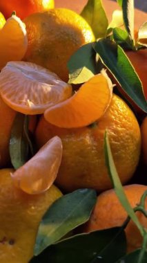 Mandalina, tahtadan yapılmış portakal.