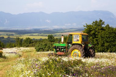 Tarlada traktör kullanan çiftçi