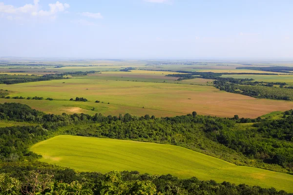 Плоский открытый ландшафт с сельскохозяйственными полями — стоковое фото