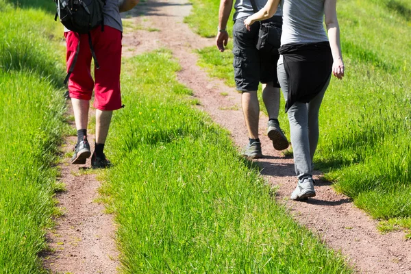 Grupo de jóvenes excursionistas caminando por un sendero —  Fotos de Stock