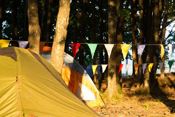 Tiendas de campaña en un camping entre árboles —  Fotos de Stock