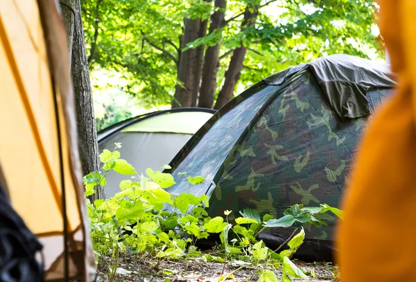 Vista a través de una puerta de tienda abierta de un camping —  Fotos de Stock