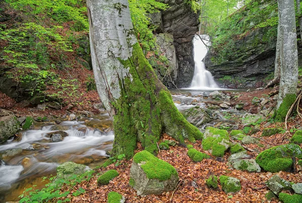 Pequeña cascada en las montañas balcánicas — Foto de Stock