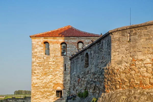 Piccioni appollaiati sul muro della fortezza — Foto Stock