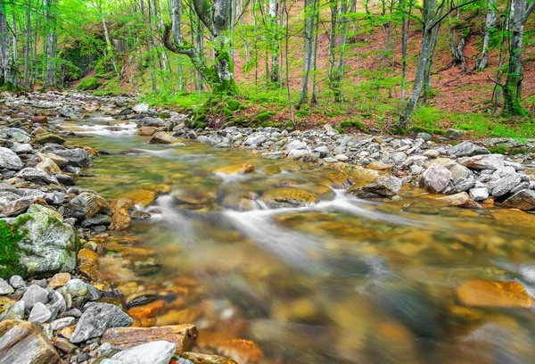 Pequeño río en la montaña — Foto de Stock