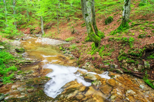 Маленькая река в горах — стоковое фото