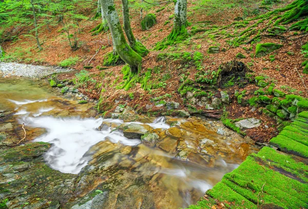 Pequeño río en la montaña — Foto de Stock