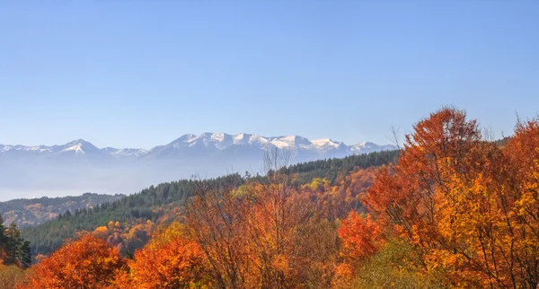 Rila 산에가 — 스톡 사진