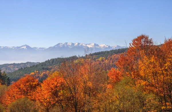 Rila 산에가 — 스톡 사진