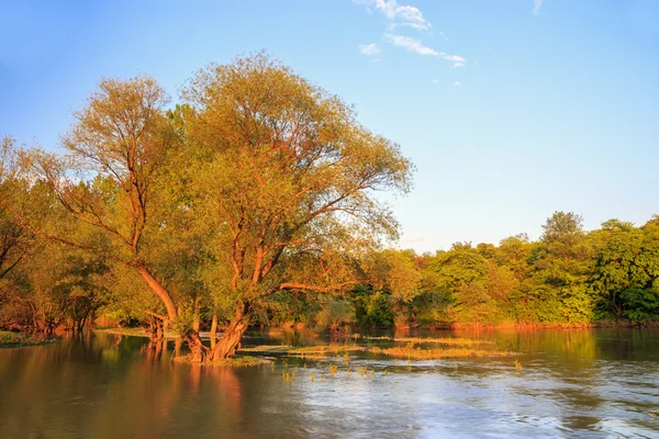 Zonsondergang op de Ogosta rivier, Bulgarije — Stockfoto