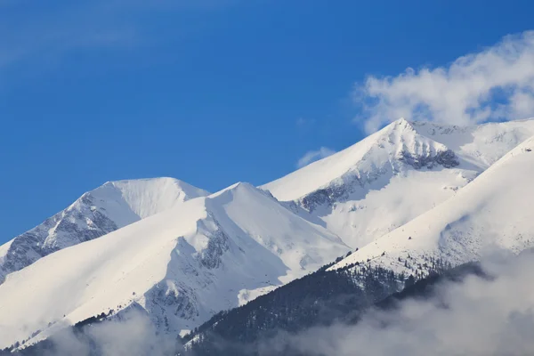 Peak Vichren — Stockfoto