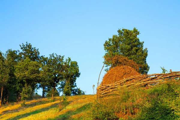 Bale of hay — Stock Photo, Image