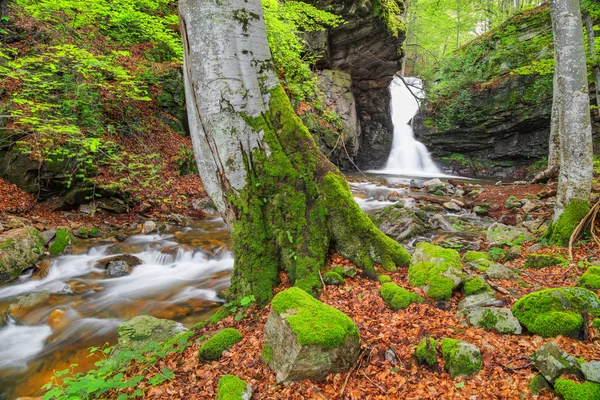La cascata d'acqua bianca nelle montagne dei Balcani, Bulgaria — Foto Stock