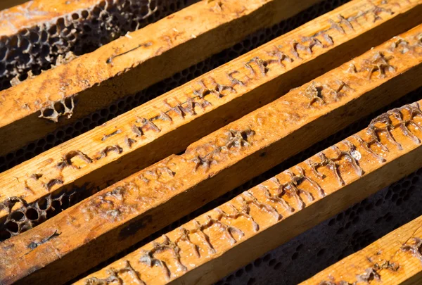 Obrázek v detail starých otevřeného úlu z výše — Stock fotografie