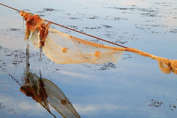 Rede de pesca vazia para mexilhão no mar ao pôr do sol — Fotografia de Stock