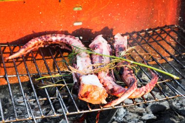 Squid on a grill