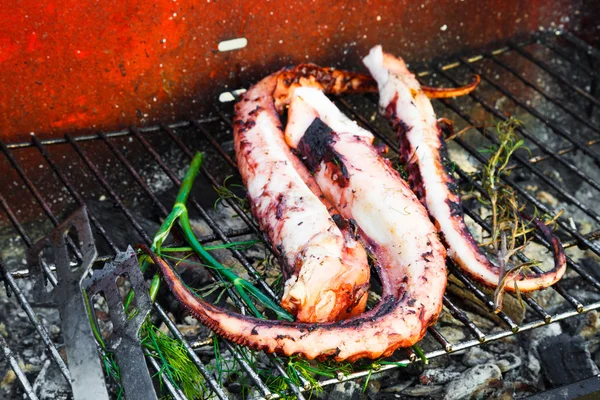 Squid on a grill — 图库照片