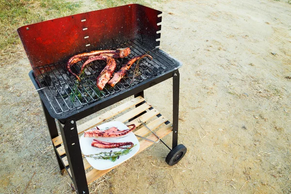 Barbecue with squid on the beach — 图库照片