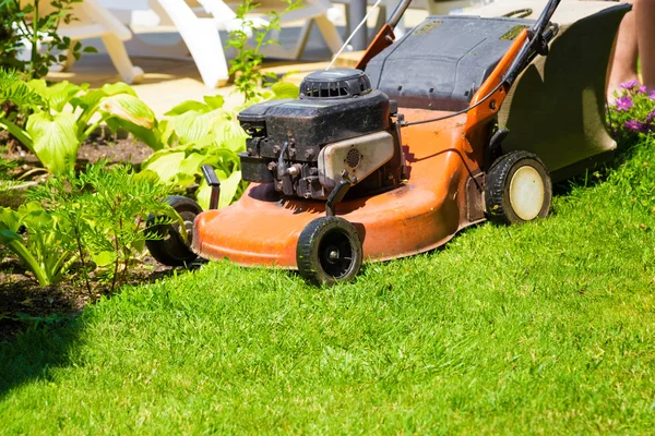 Bahçedeki taze bir çimenlikte çim biçme makinesi