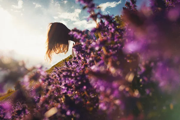 La chica está sentada en un claro de flores —  Fotos de Stock