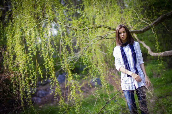 Beautiful girl in a flowering tree — Stock Photo, Image