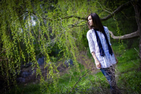 Bella ragazza in un albero fiorito — Foto Stock