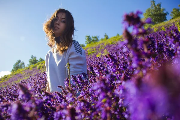 Dívka sedící na květinová louka — Stock fotografie