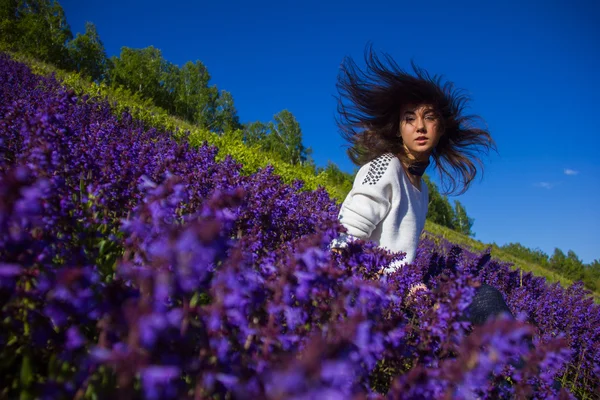 Dívka sedící na květinová louka — Stock fotografie