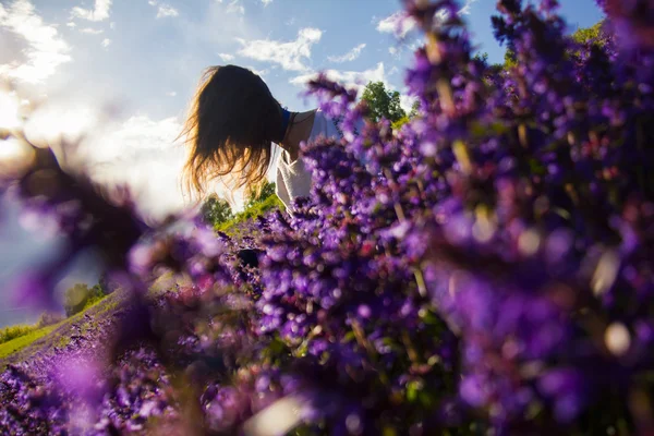 Dívka sedící na květinová louka — Stock fotografie