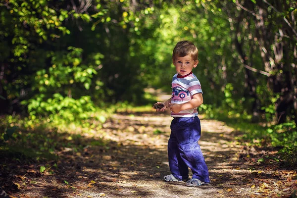 Retrato de un niño en el bosque —  Fotos de Stock