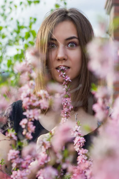 Porträt eines jungen schönen Mädchens in Blumen — Stockfoto