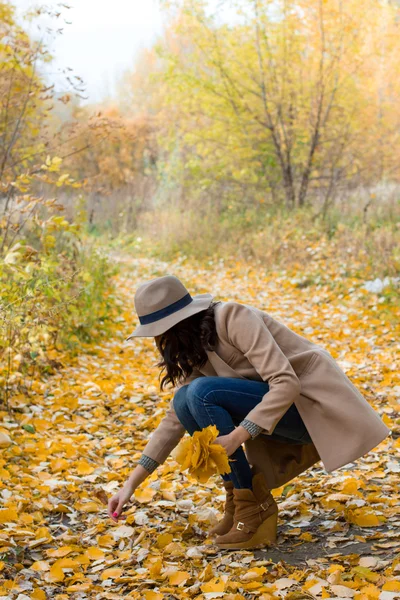 Dívka v kabátě shromažďuje listí v lese — Stock fotografie