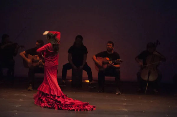 Flamenco Een Van Belangrijkste Muzikale Uitingen Spanje — Stockfoto