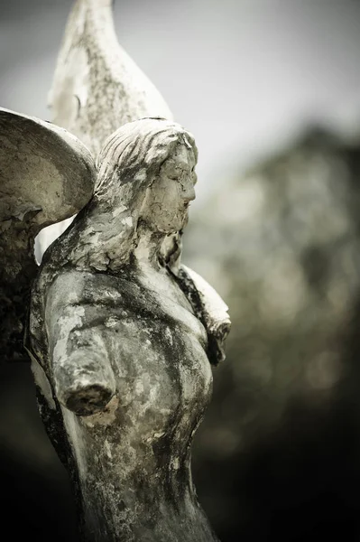 Scultura Angeli Nel Cimitero — Foto Stock