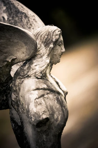 Sculpture Angels Cemetery — Stock Photo, Image