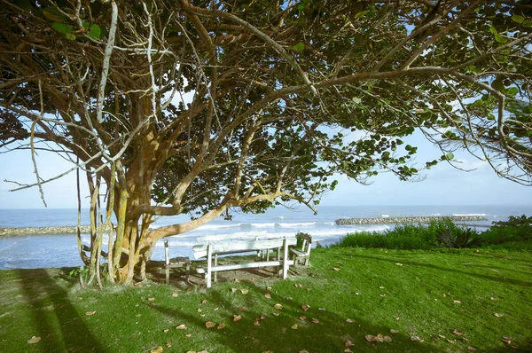 Deniz, dalgalarıyla ve Karayipler 'deki sesiyle dinlenebileceği bir yer.