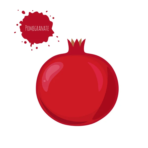 Pomegranate fruit isolated on white background. — Stock Vector