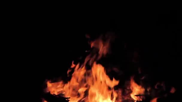 O fogo de vídeo . — Vídeo de Stock