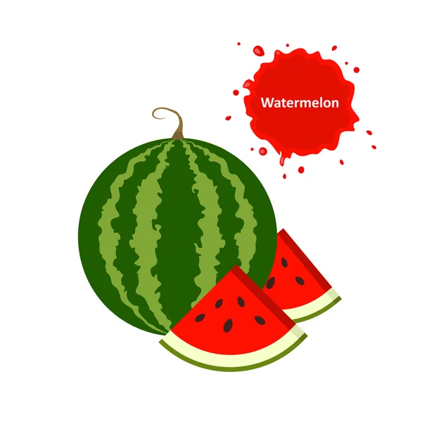 Watermelon and slice. — Stock Vector