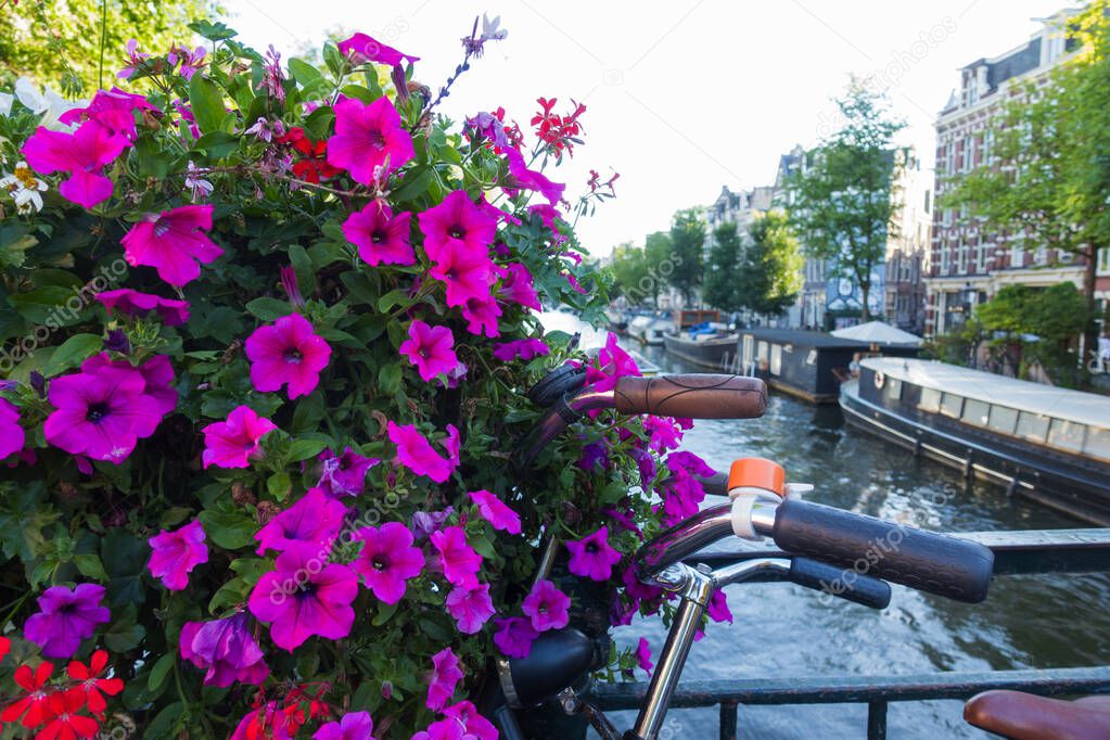 Close-up of a basket of flowers on a bicycle. Scenic beautiful view of the canals of Amsterdam, decorated with bicycles and ancient architecture.