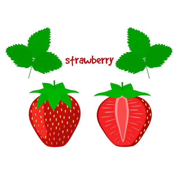 Ripe Juicy Strawberry on a White Background. — Stock Vector