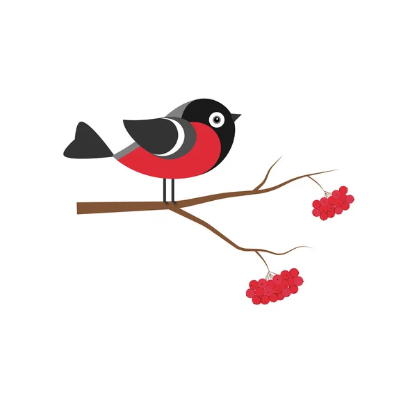 Bullfinch en la rama de la ceniza de montaña en estilo plano . — Vector de stock