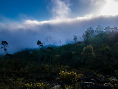 Küba, Santiago 'daki La Gran Piedra çevresindeki Sierra Maestra dağlarının ve ağaçlarının panoramik manzarası.