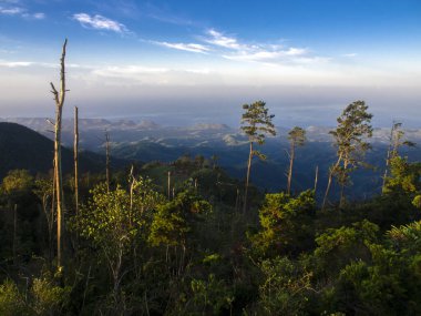 Küba, Santiago 'daki La Gran Piedra çevresindeki Sierra Maestra dağlarının ve ağaçlarının panoramik manzarası.