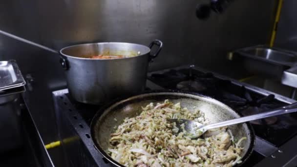 Preparar Comida Mezclar Los Ingredientes Sazonar Carne Junto Con Arroz — Vídeos de Stock