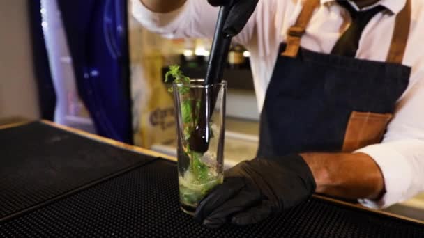 Barmen Tezgahta Kokteyl Hazırlıyor Kristal Bir Bardakta Güzel Çim Dalları — Stok video