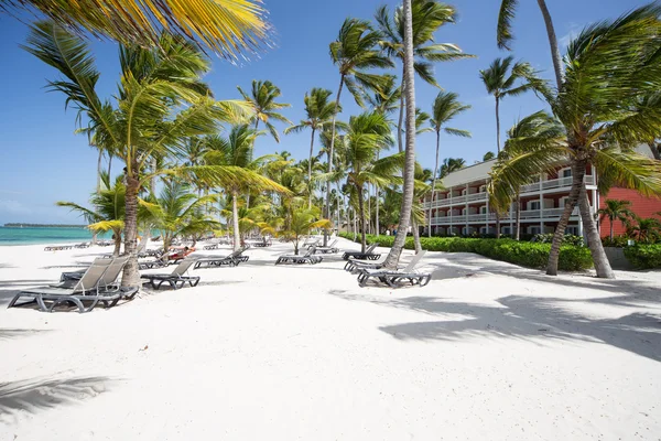 Caribbean Beach — Stock Photo, Image