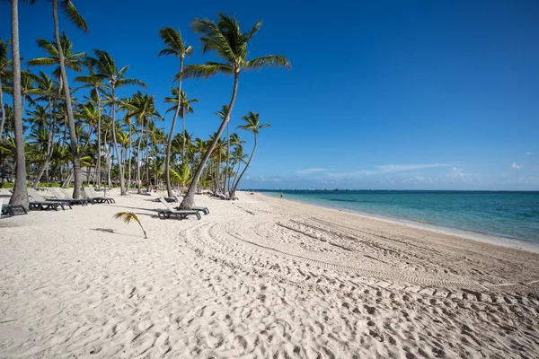 Plage des Caraïbes — Photo