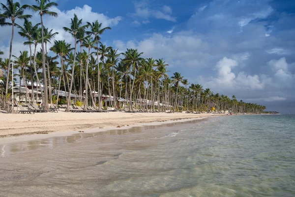 Plage des Caraïbes — Photo